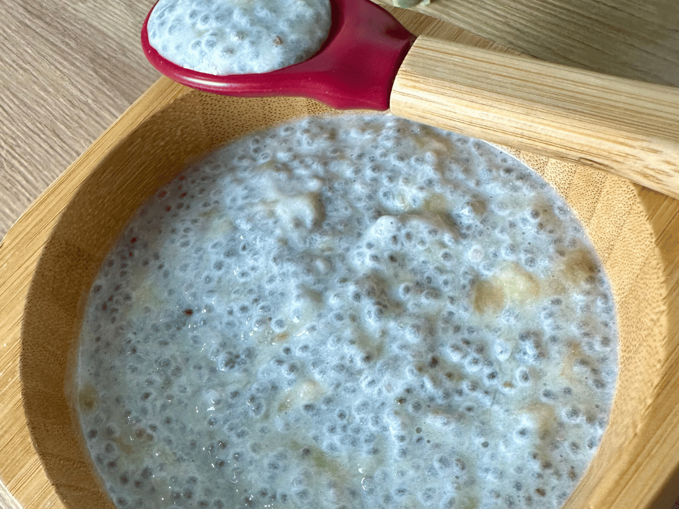 Apple Banana Chia Pudding