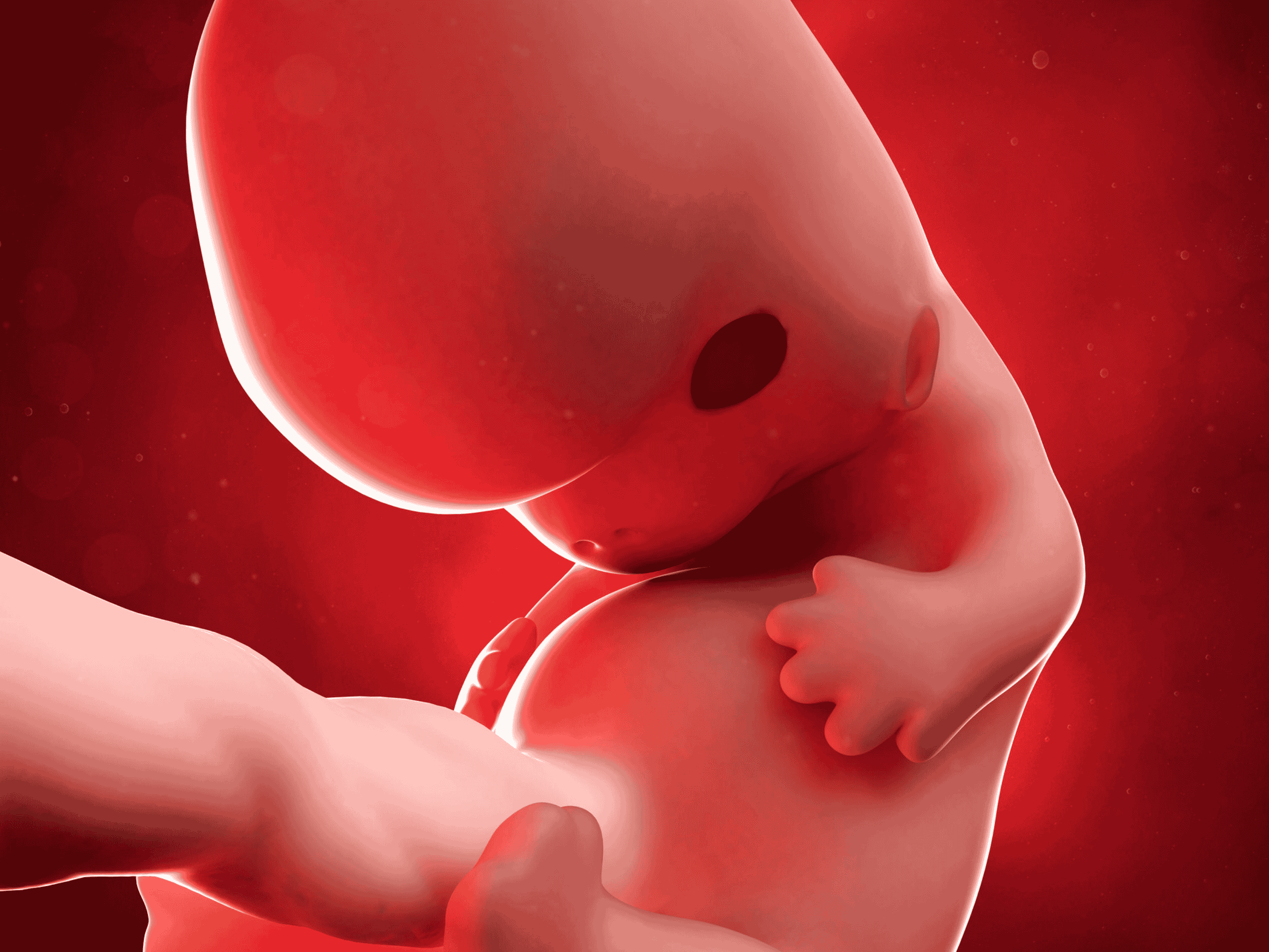 8 Weeks Pregnant: Baby Growth & Pregnancy Symptoms